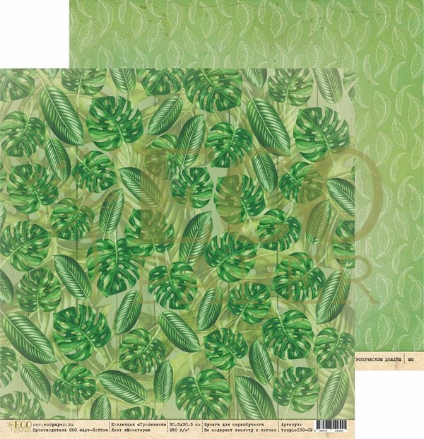 Double-sided sheet of paper EcoPaper Tropicana "Monstera" size 30.5*30.5 cm, 250g