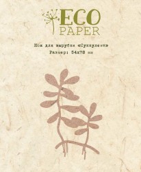 EcoPaper 
