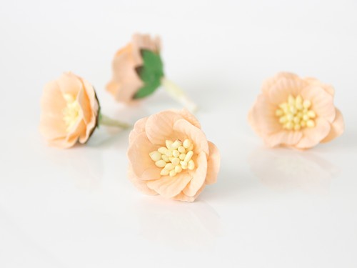 Senpolia "Peach", size 3-4 cm, 1 pc