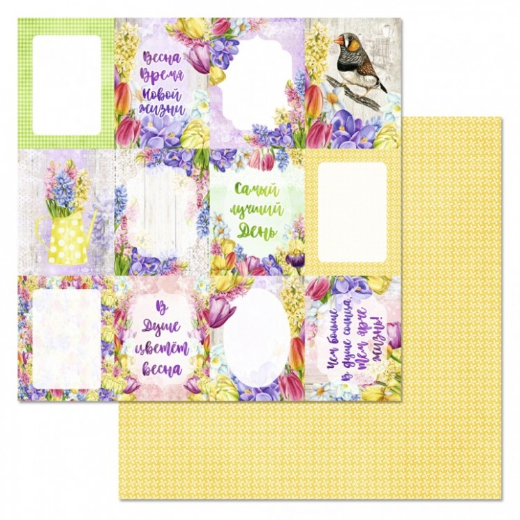 Double-sided sheet of ScrapMania paper "Time of tulips. Cards", size 30x30 cm, 180 g/m2