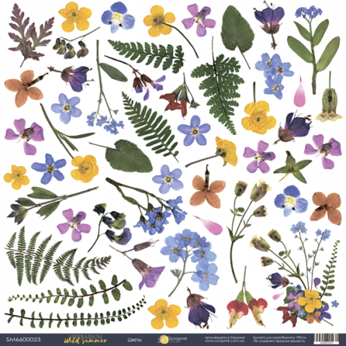 One-sided sheet of paper SsgarMir Herbarium Wild summer "Decor" size 30*30cm, 190gr