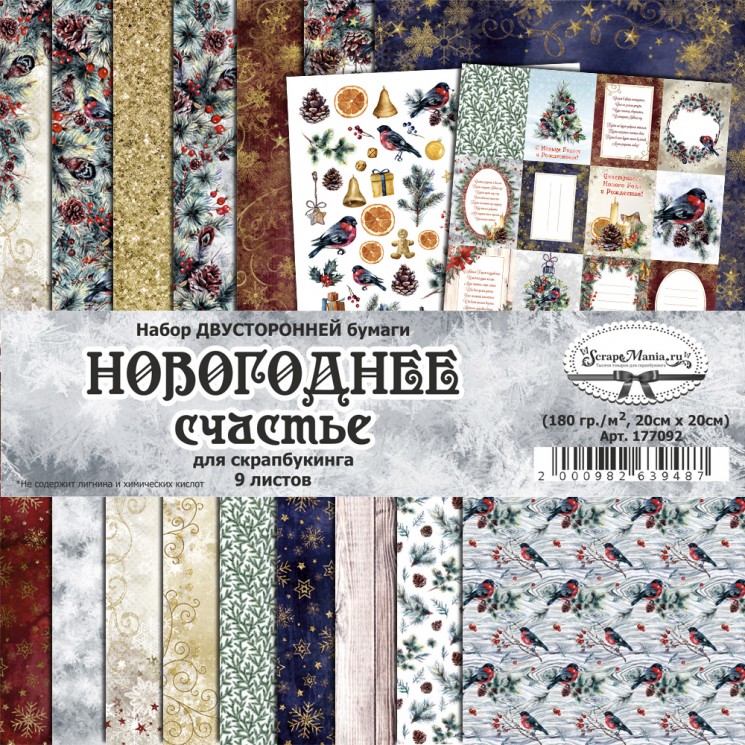 Double-sided set of paper 20x20 cm "New Year's happiness", 9 sheets, 180 gr (ScrapMania)