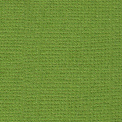 Cardstock textured Mr. Painter, color "Olive wreath" size 30. 5X30. 5 cm, 216 g /m2
