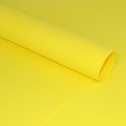 Фоамиран Иранский "Цинково-желтый", размер 60х70 см, толщина 1 мм 