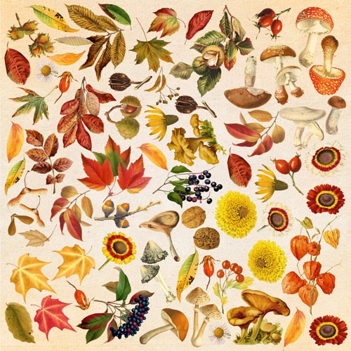 Sheet with pictures for cutting Fabrika Decoru "Autumn botanical diary" size 30.5x30.5 cm