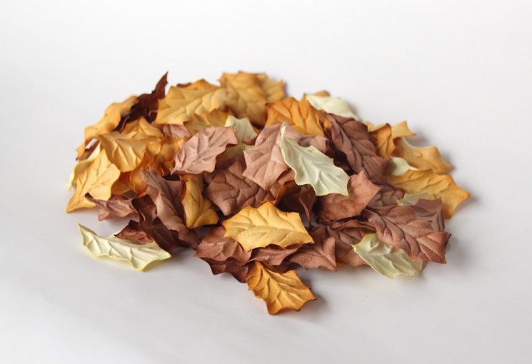 Holly leaves without stems "Brown mix" size 4x2. 5 cm 10 pcs