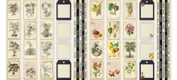 Set of strips with pictures for Botany exotic decoration 5 pcs 5x30.5 cm, Factory Decor