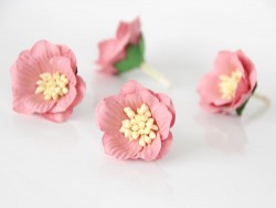Сенполия "Розово-персиковая", размер 3-4 см, 1 шт