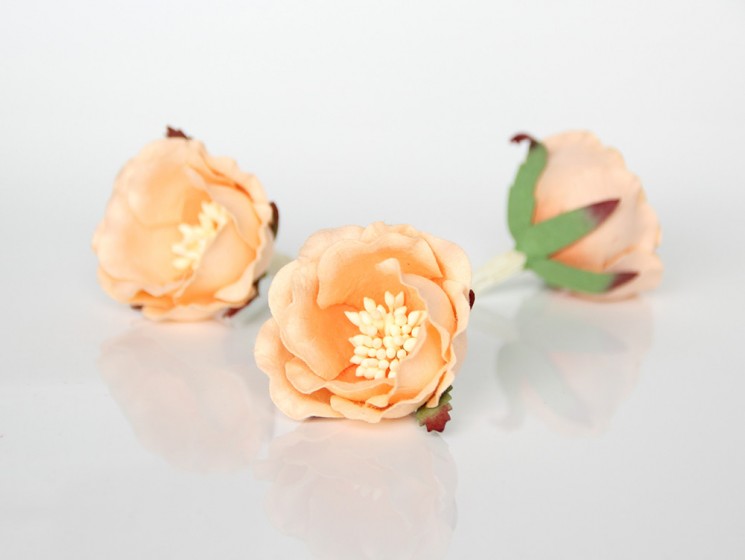 Полиантовая роза "Персиковая двухтоновая" размер 4,5 см 1шт