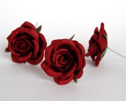 Коттеджная роза "Бордовая" размер 6-7 см 1 шт