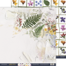Set of double-sided paper SsgarMir "Herbarium Wild summer", 10 sheets, size 30*30 cm, 190 gr/m2