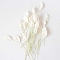 Листья розы со стеблем "Белые" размер 4,5х2,5 см 10 шт