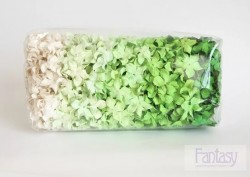 Лепестки гардении кудрявые "Зеленый микс" размер 2,5 см, 10шт