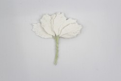 Листья остролиста"Белые", размер 3х1,7 см, 10 шт