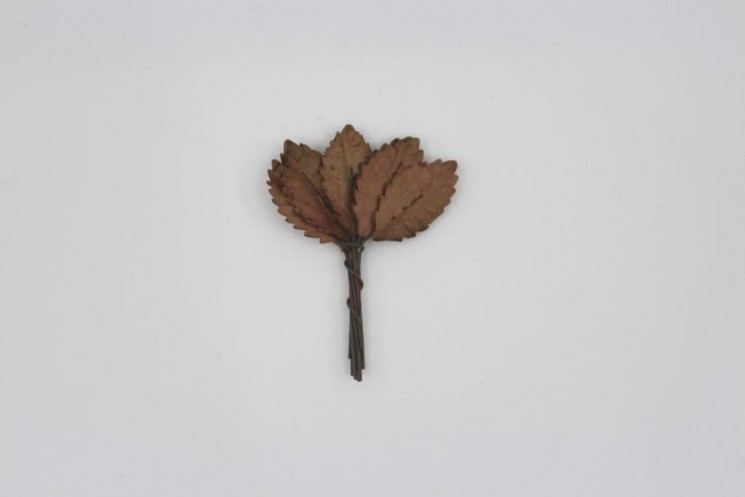 Leaves with a stem "Brown", size 2, 5x1 cm, 10 pcs