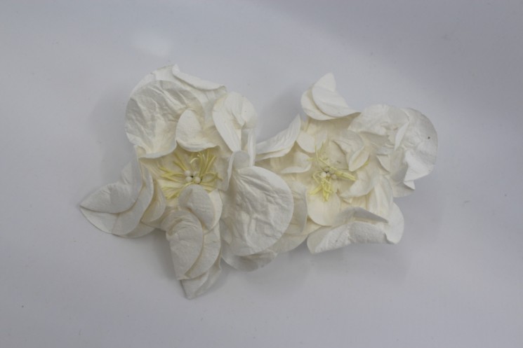 Gardenia "White" size 10 cm, 1 pc