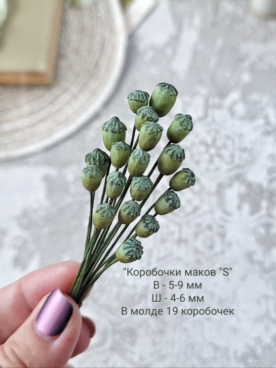 Молд "Коробочки мака мини "S", высота 5-8 мм, ширина 4-6 мм , 19 коробочек