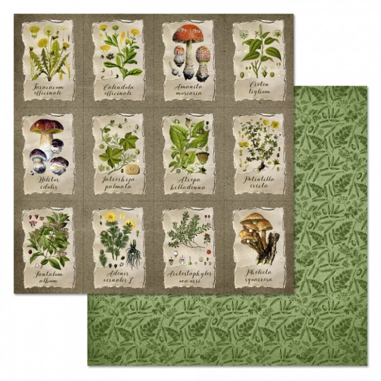 Double-sided sheet of ScrapMania paper " Divination. Ingredients", size 30x30 cm, 180 g/m2