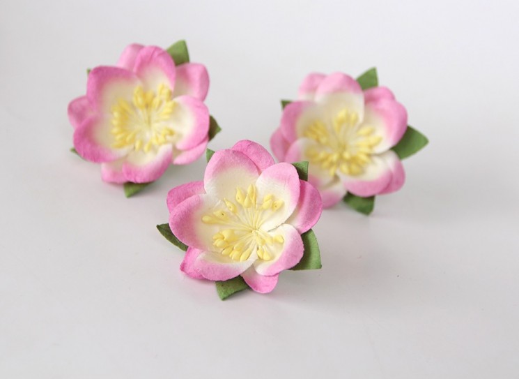 Sakura "Pink + white" size 4.5-5 cm 1 pc