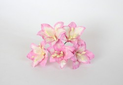 Лилии "Розовый+белый" размер 2х2,5 см 5 шт