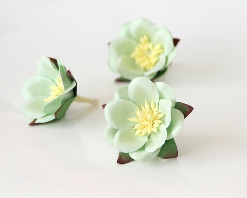 Sakura "Mint" size 4.5-5 cm 1 pc