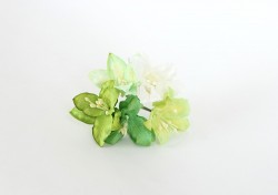 Лилии "Зелёный микс" размер 2х2,5 см 5 шт 
