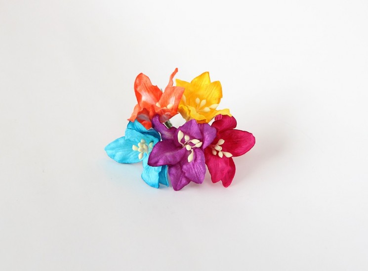 Lilies "Bright mix" size 2x2. 5 cm 5 pcs 