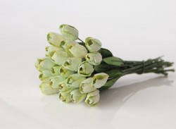 Тюльпаны "Светлозеленые", размер 1 см, 1 шт
