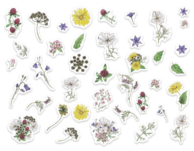 Decorative elements of Mr. Painter " Flower atlas. Wild flowers", 190 g /sq. m