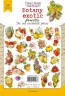 Set of die-cuts Fabrika Decoru collection "Botany exotic fruits" 54 pcs, 250 gr/m2