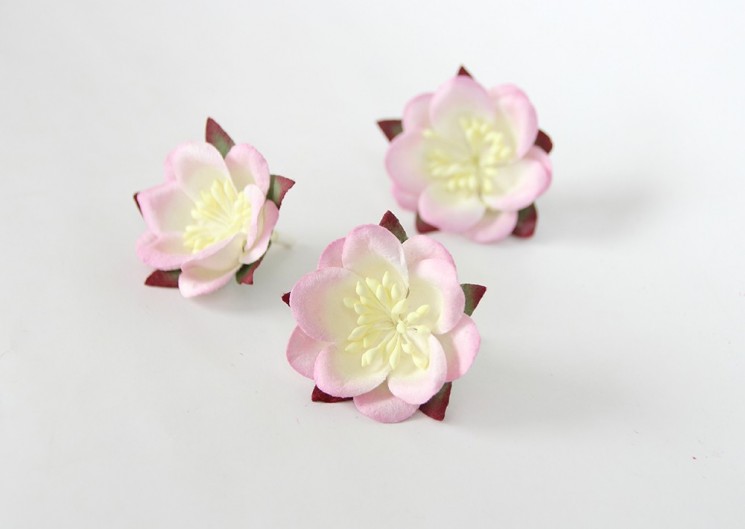Sakura "Light pink + white" size 4.5-5 cm 1 pc