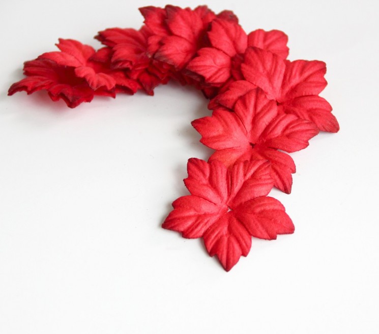 Poinsettia petals " Red " size 4 cm 10 pcs
