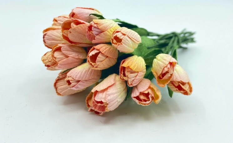 Тюльпаны "Желто-розовые", размер 1 см, 1 шт