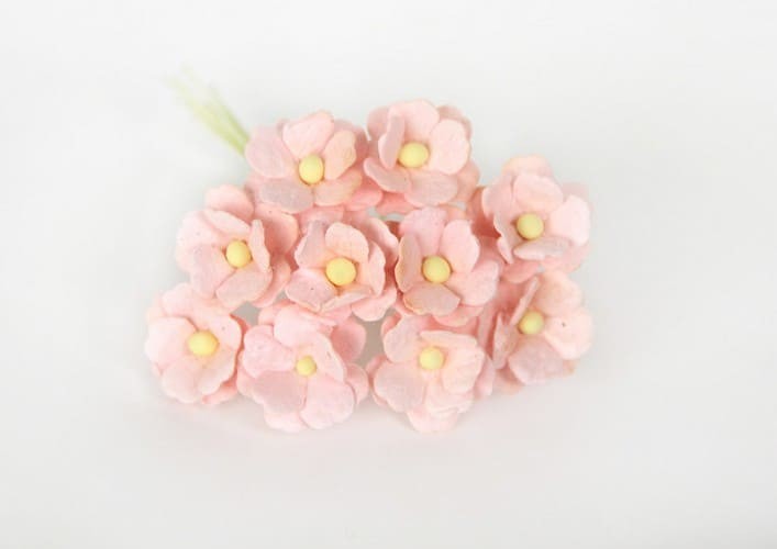 Cherry flowers are medium "Light pink-peach" size 1.5-2 cm 5 pcs