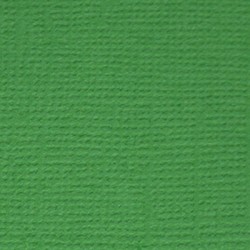 Кардсток текстурированный Mr.Painter, цвет "Лесной папоротник" размер 30,5Х30,5 см, 216 г/м2