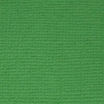 Cardstock textured Mr. Painter, color "Forest fern" size 30. 5X30. 5 cm, 216 g/m2