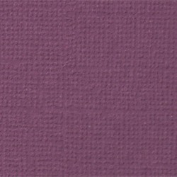 Кардсток текстурированный Mr.Painter, цвет "Молодой виноград" размер 30,5Х30,5 см, 216 г/м2