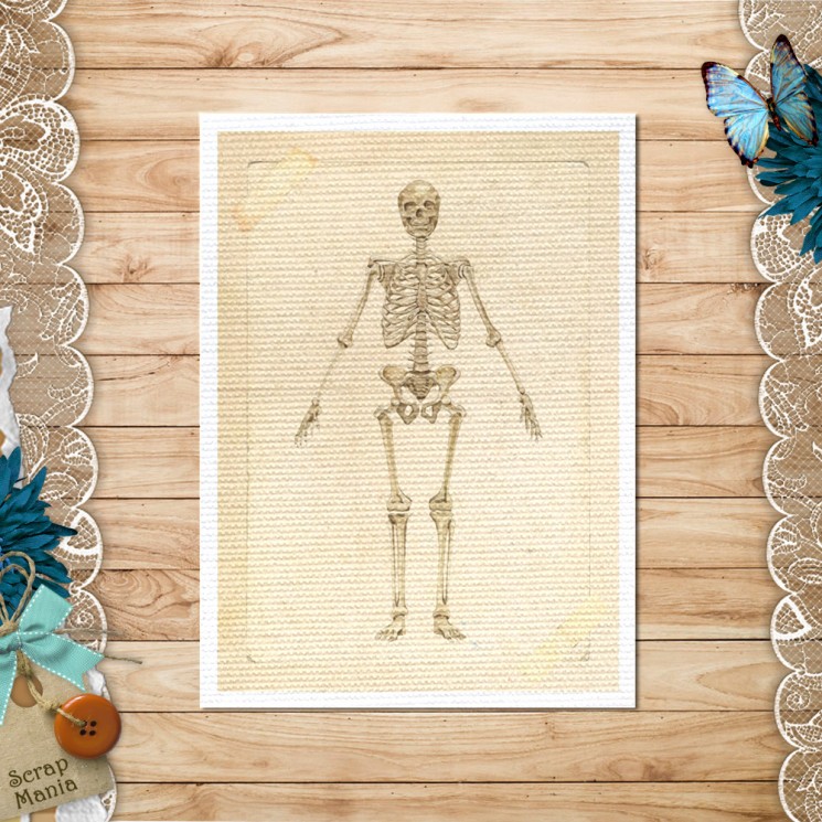 Fabric card "Thank you, Doctor! Skeleton" size 6.5*9 cm