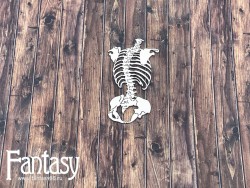 Чипборд Fantasy «Анатомия человека 2539» размер 8,7*4,8 см