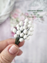 Молд "Шиповник зимний micro", диаметр 4-6мм, 19 ягодок