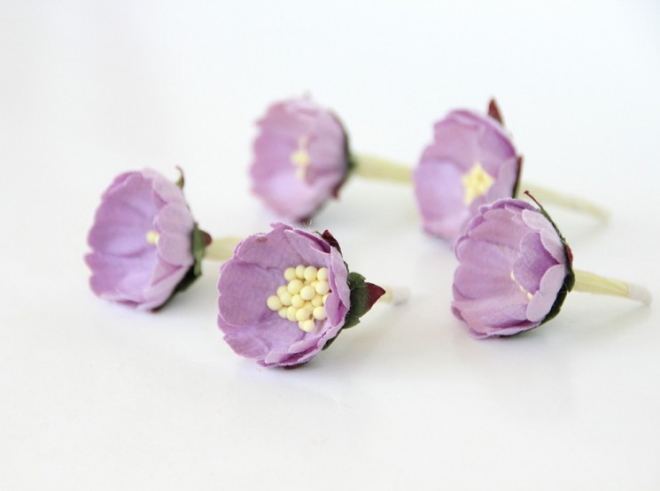 Rosehip medium "Lilac", size 2 cm, 1 pc