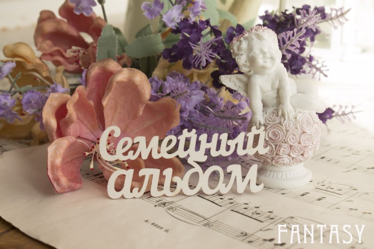 семейный альбом 8