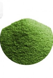 Деко-топпинг "Пыльца", цвет Зелень лесная, 14 гр