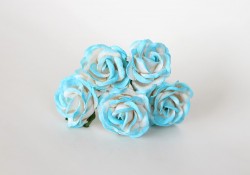 Rose with rounded petals 