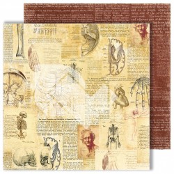 Двусторонний лист бумаги Dream Light Studio Homo sapiens "Письмена", размер 30,48Х30,48 см, 250 г/м2