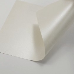 Дизайнерская бумага Шампань металлик, А4, плотность 290 гр/м2