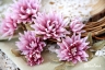 Набор цветов из ткани ручной работы Rosalina "Весенний георгин", 7 цветочков + 6 листочков, размер от 2,5 до 5 см