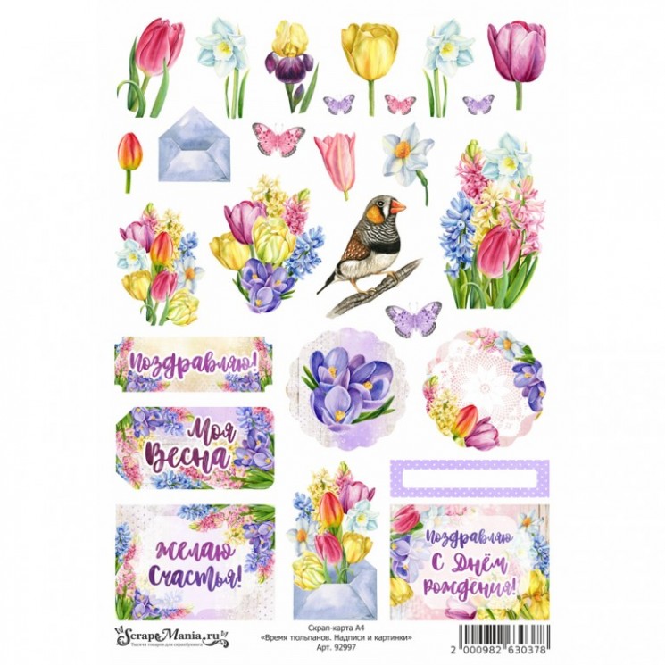 A4 scrap card " Time of tulips. Inscriptions and pictures", density 250 g/m (ScrapMania)