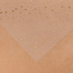 Ацетатный лист с золотым фольгированием "Звездное небо", размер 20Х20 см