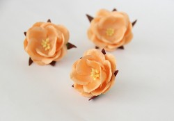 Дикая роза "Персиковая" размер 4,5 см 1шт